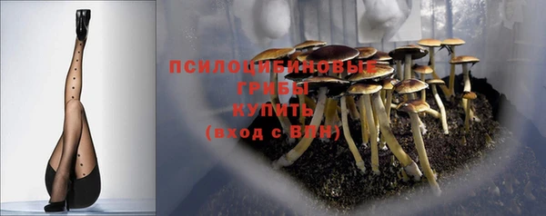 spice Михайловка