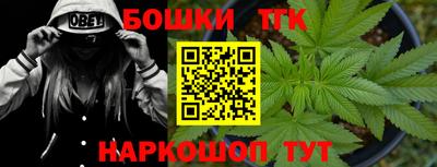 прущий лед Канаш