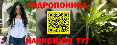 сатива Апшеронск