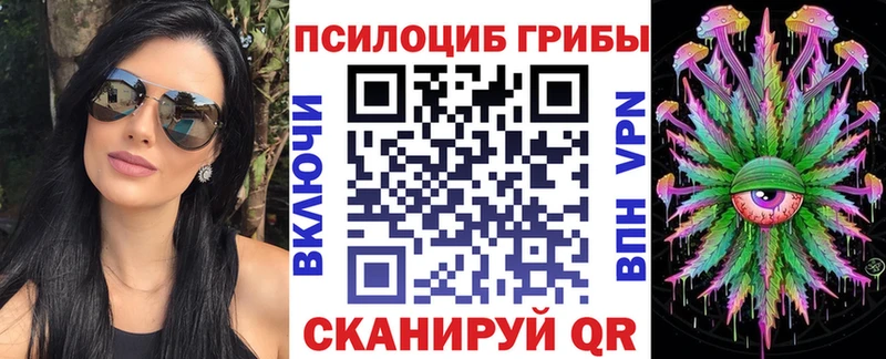 Псилоцибиновые грибы Psilocybe  купить наркоту  Нерюнгри 