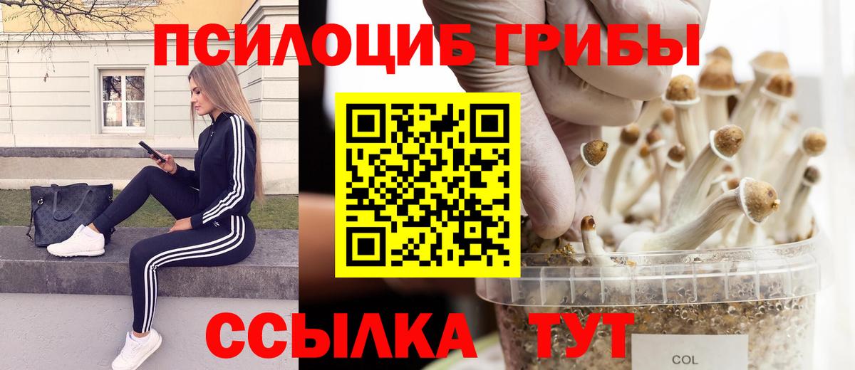 Галлюциногенные грибы Psilocybe  Вход с VPN  Нерюнгри 
