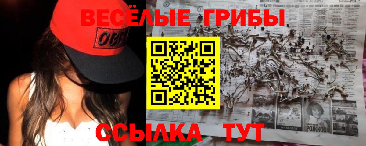 Галлюциногенные грибы Cubensis Нерюнгри
