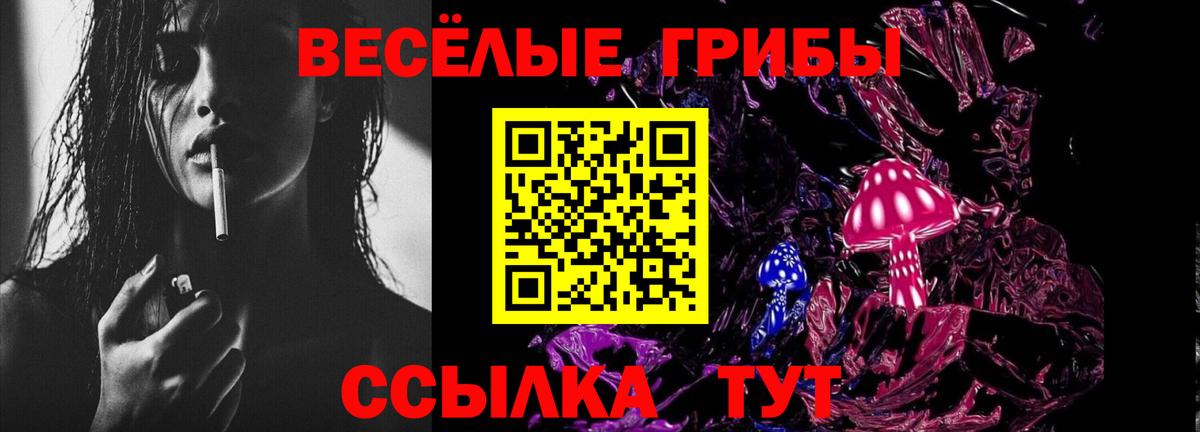 Псилоцибиновые грибы Psilocybe  Нерюнгри  Псилоцибиновые грибы мицелий 